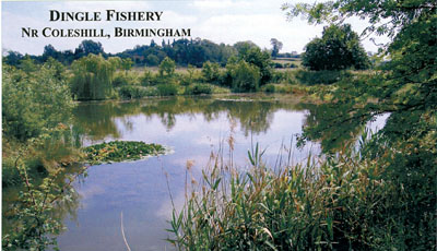 Dingle Fishery400.jpg